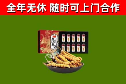 清溪镇回收冬虫夏草价格